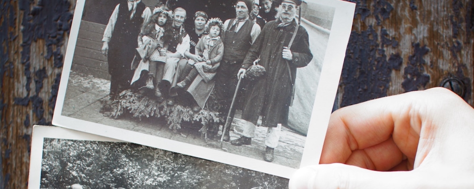 Are We Related? Check out My Family Trees